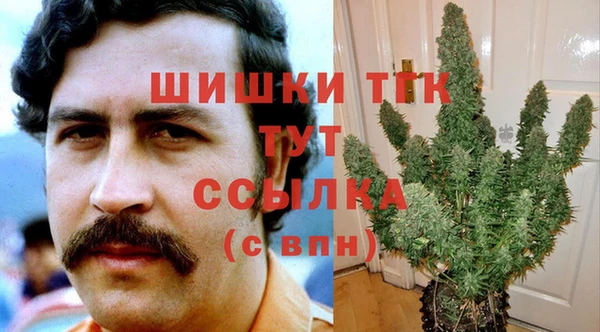 стаф Абаза