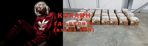 стаф Абаза