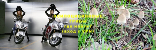 хмурый Абинск
