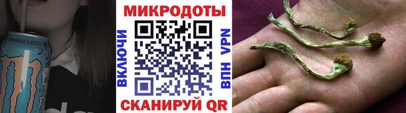 darknet как зайти Тотьма Галлюциногенные грибы мухоморы