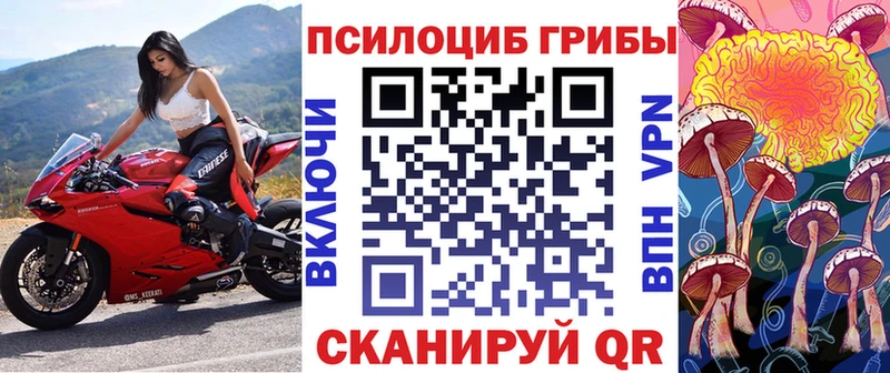 Псилоцибиновые грибы прущие грибы Тотьма