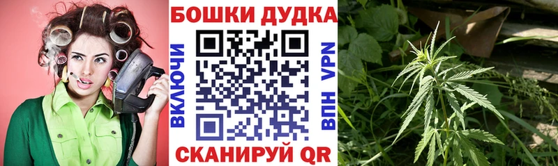 мега рабочий сайт Тотьма Бошки марихуана марихуана